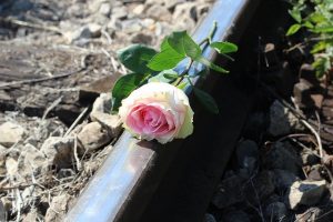 Rose on railroad tracks, to signify moving past something causing you pain while growing from it.