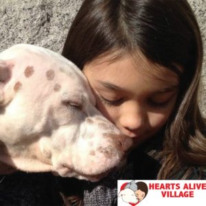 Read more about the article Hearts Alive Village Keeps Pets Out of the Pound
