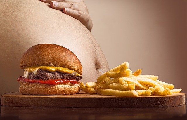 Read more about the article “The Obesity-Hunger Paradox” Response