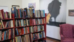 Read more about the article The Purr-Fect Book – Copper Cat Books Offers a Friendly, Personal Shopping Experience
