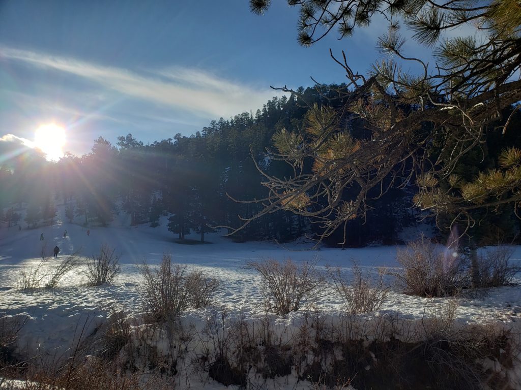 Lee Canyon Meadows in winter.