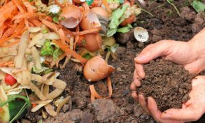 Picture of person composting food scraps