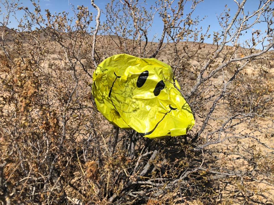 Read more about the article Desert Balloon Project: Saving Tortoises One Balloon at a Time