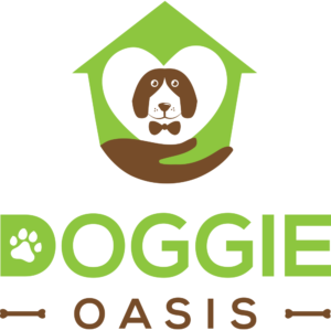 Read more about the article Doggie Oasis Day Care Keeps Dogs Active