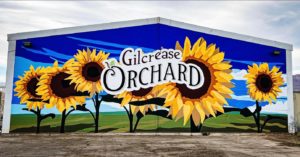 Sunflower mural at Gilcrease Orchard