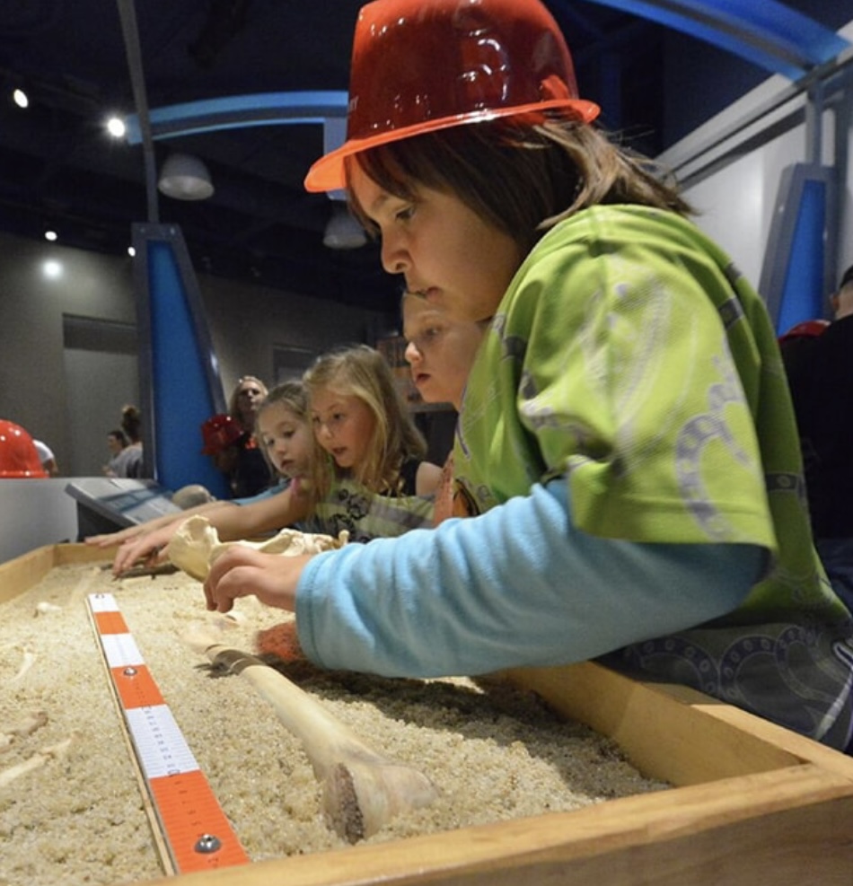 Children excavating dinosaur bones at the Discovery Children's Museum.