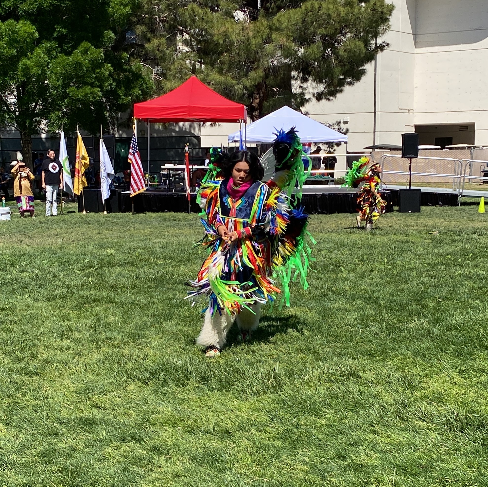 Read more about the article Powwow For the Planet: A Story In Every Dance