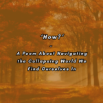 How? – A Poem About Navigating the Collapsing World We Find Ourselves In