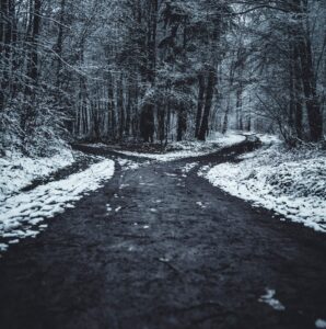 The path ahead is uncertain but we'll walk it together. (Picture of a trail in the forest with snow on the ground. The path splits in a Y).